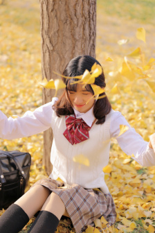 魔法少女奈叶as